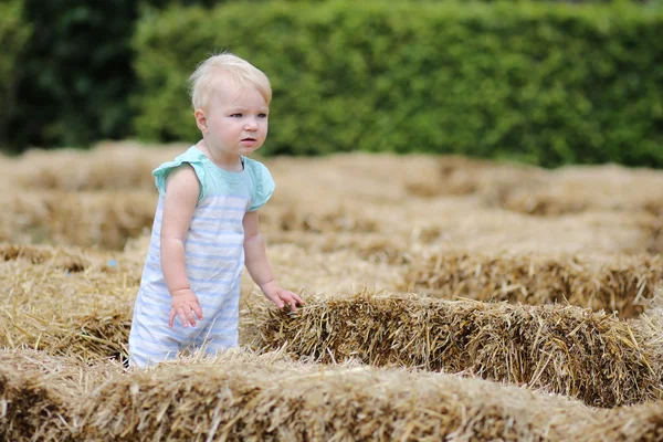 Baby girl is walking thought a hay labyrinth — Stock Photo, Image