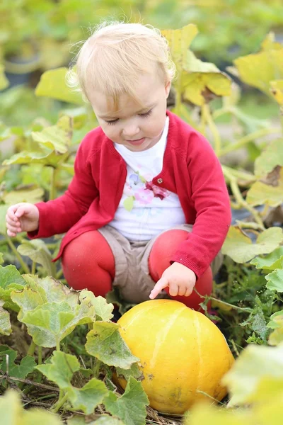 Baby flicka som leker med mogen gul pumpa — Stockfoto