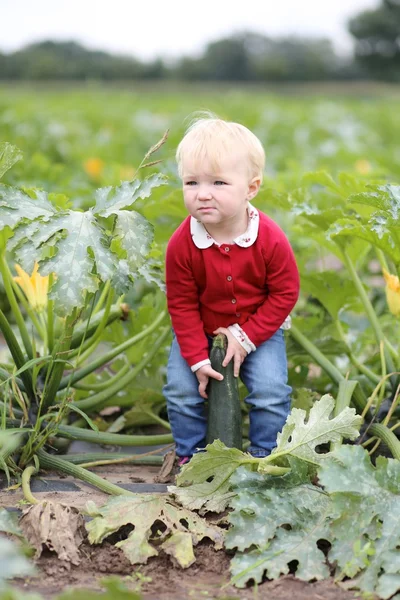 Meisje van de baby oppakken van rijp courgette — Stockfoto