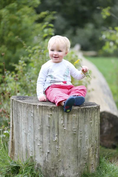 Baby girl sitting on a big stump — Stock Photo, Image