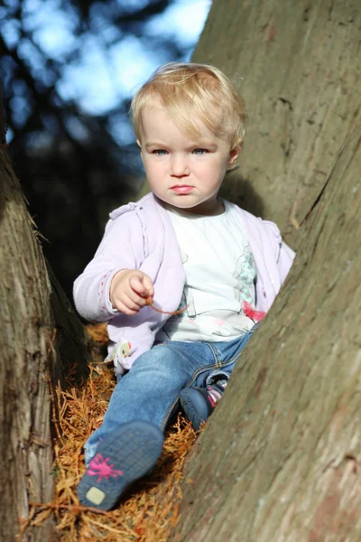 Baby flicka sitter mellan förgrena sig av träd — Stockfoto