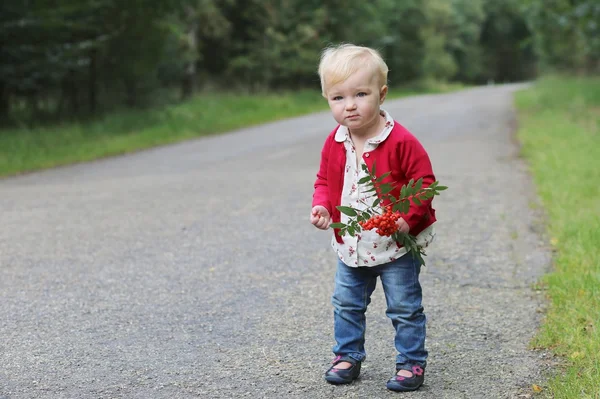 Baby pige gå på en vej langs efteråret skov - Stock-foto