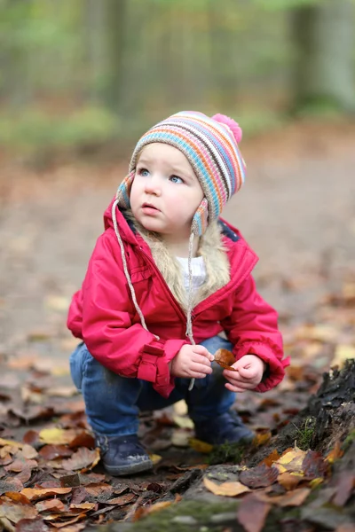 Κορίτσι παίζει στο φθινόπωρο δάσος — Φωτογραφία Αρχείου