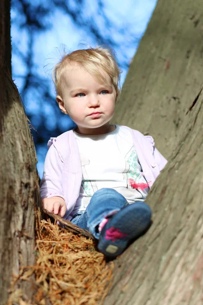 Baby girl sitting between the branches of tree — Stock Photo, Image