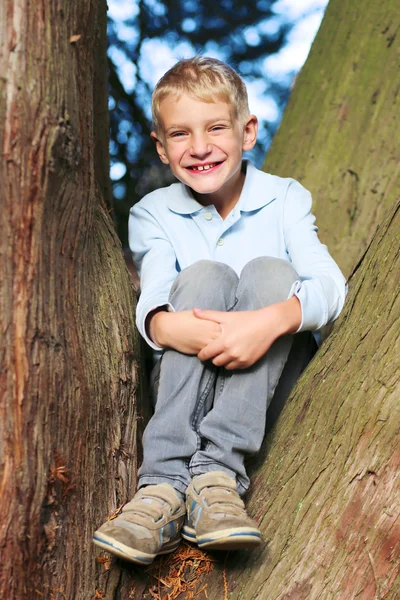 Pojken sitter mellan förgrena sig av träd — Stockfoto