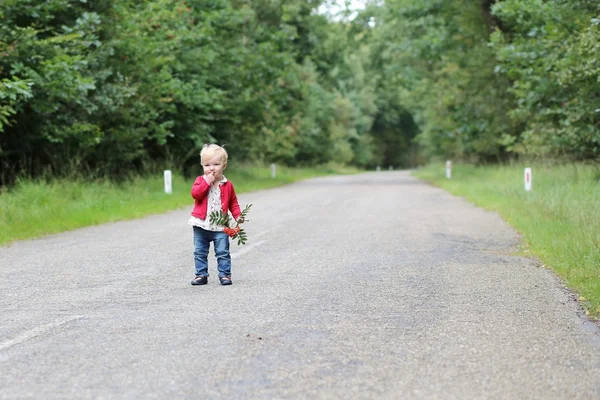 Bambina che cammina su una strada lungo la foresta autunnale — Foto Stock