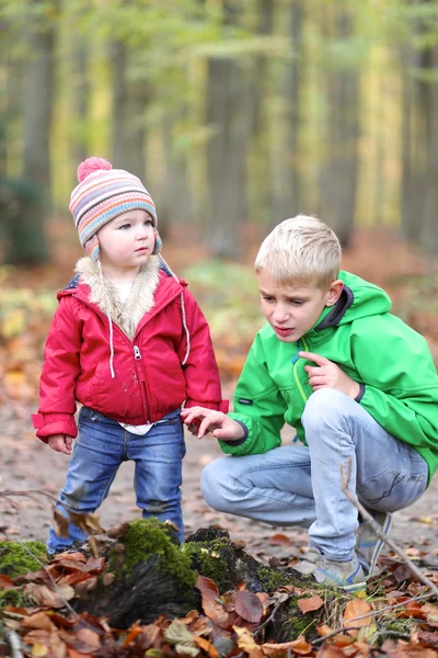 Fratello e sorella che giocano nella foresta — Foto Stock