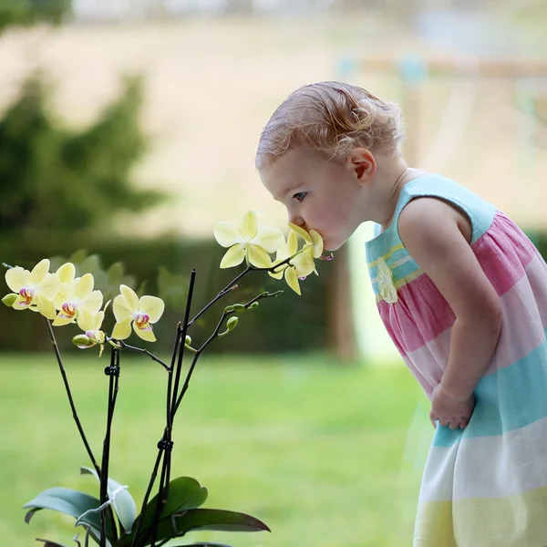 Dívka vonící orchidej květina — Stock fotografie