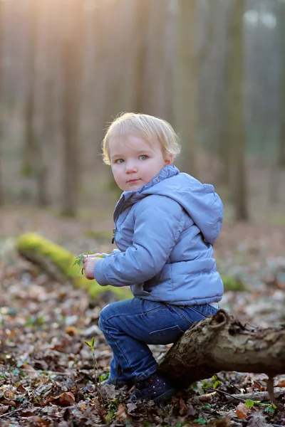 Meisje in het forest op een zonnige lentedag — Stockfoto