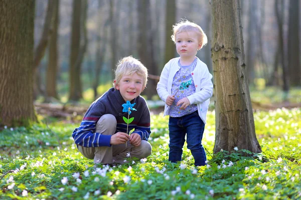 Niño con hermana jugando juntos en el bosque — Foto de Stock