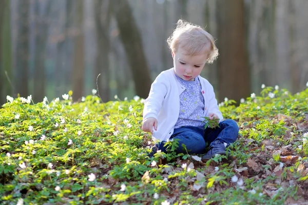 Toddler girl enjoying white wild flowers — Stock Photo, Image