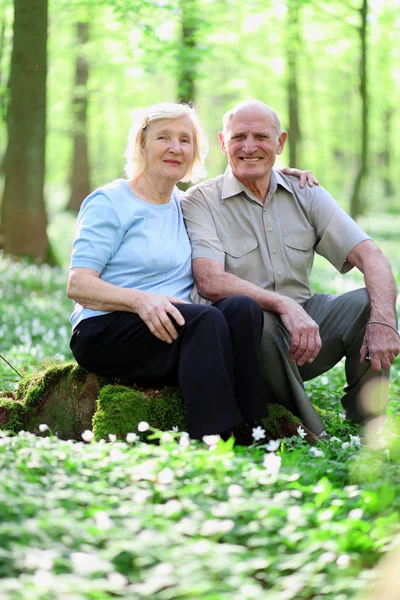 Здоровая любящая пожилая пара отдыхает в красивом летнем лесу — стоковое фото