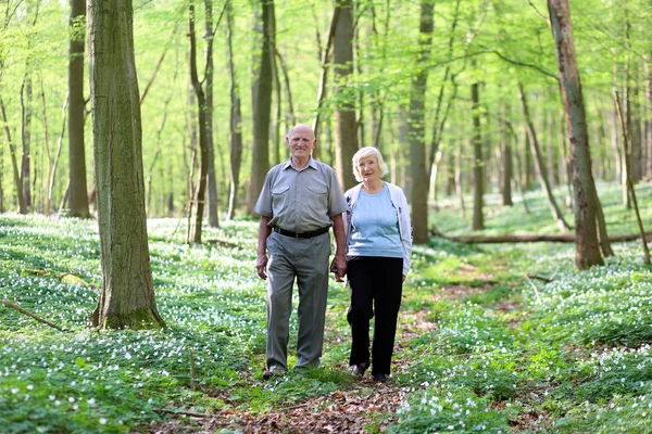 Gesunde liebevolle Senioren entspannen sich im schönen Sommerwald — Stockfoto
