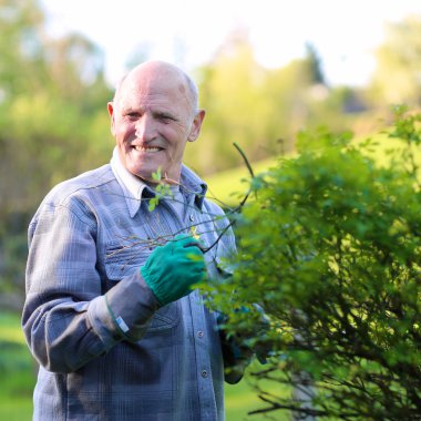 Komuta sizde bahçede çalışan