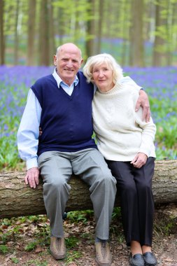 İki orman içinde dinlendirici