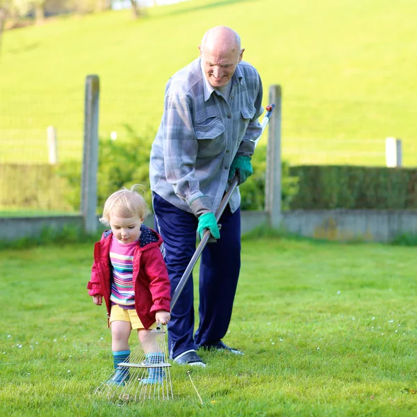 Человек, работающий в саду с внучкой — стоковое фото