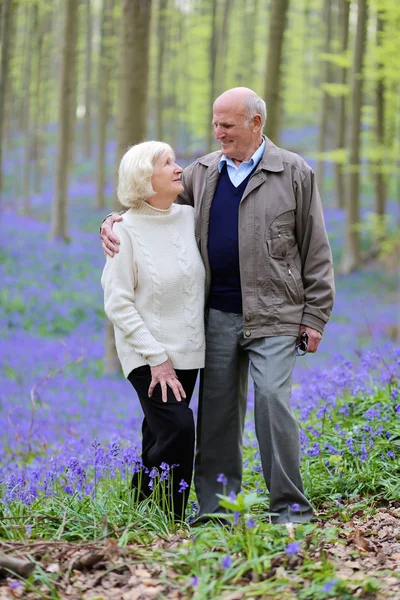 Senior couple relaxing in forest — Stock Photo, Image