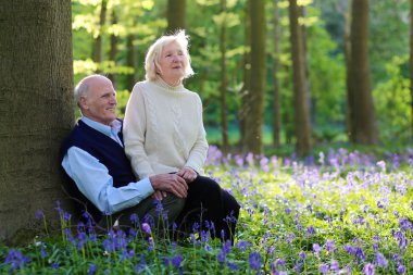 üst düzey iki rahatlatıcı yaz orman içinde