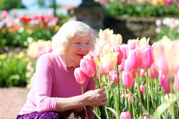 Portret szczęśliwy senior kobiety obok różowe tulipany — Zdjęcie stockowe