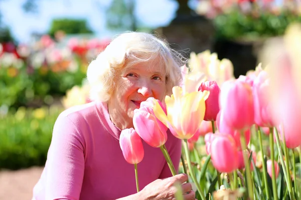 Portrét šťastný starší ženy vedle růžových tulipánů — Stock fotografie