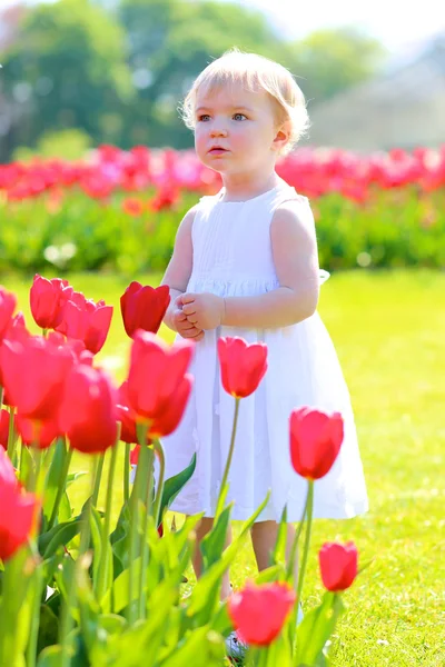 Liten flicka som leker i parken full av blommande Röda tulpaner — Stockfoto