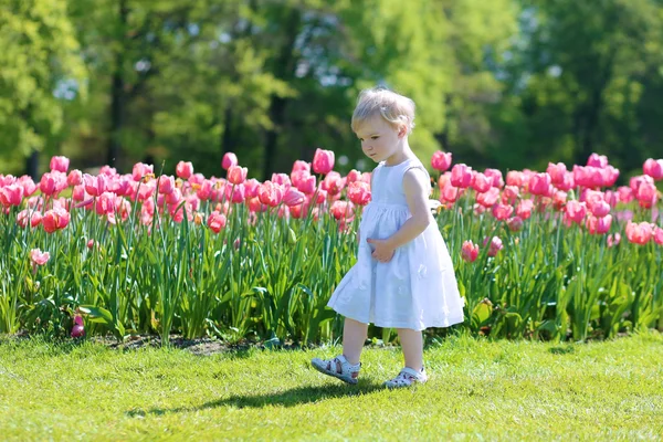 Klein meisje spelen in het park vol met bloeiende rode tulpen — Stockfoto