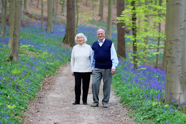 Äldre par i sommar skog — Stockfoto