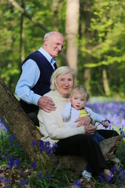 Großeltern mit Enkelin im Wald — Stockfoto