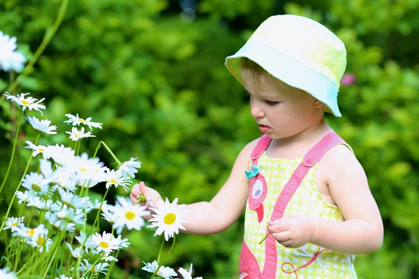 Całkiem mała dziewczynka gra w ogrodzie kwiaty stokrotki — Zdjęcie stockowe