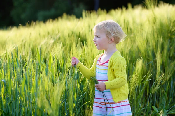 Bedårande liten flicka spelar i vilda gröna vete fält på en solig sommardag — Stockfoto