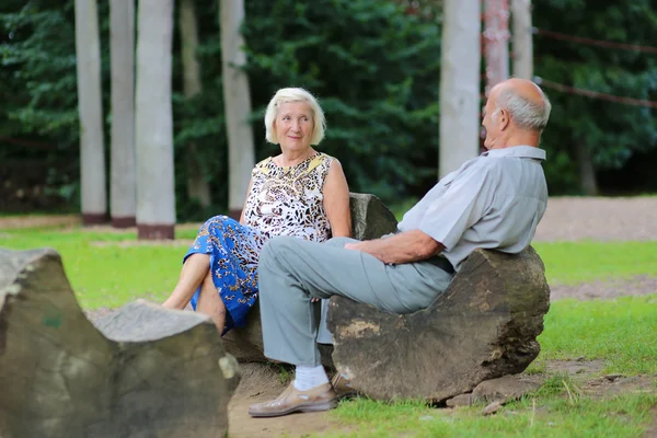 Casal sénior relaxante no parque — Fotografia de Stock