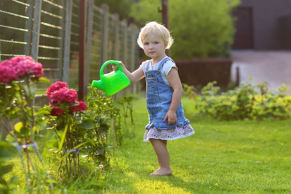 Милая малышка поливает цветы в саду. — стоковое фото