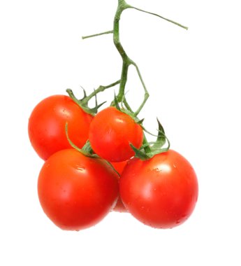 Sarmaşıkta domatesler