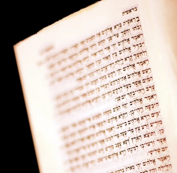 Βιβλίο με ιερογλυφικά — Φωτογραφία Αρχείου