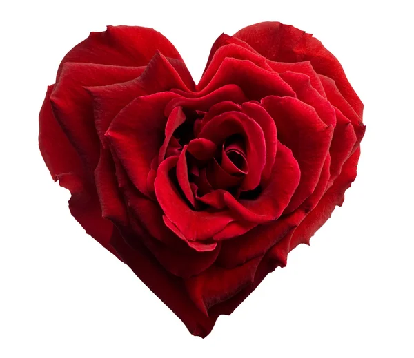 Heart shaped rose — Stock Photo, Image