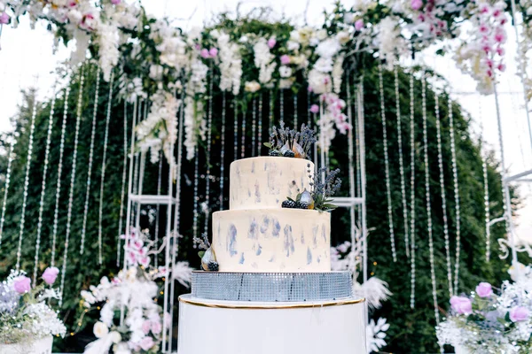 Hochzeitstorte Lavendel Zwei Etagen Mit Lavendelfeigen Und Brombeeren Mit Strass — Stockfoto