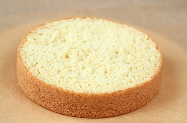 Biscuit gâteau éponge — Photo