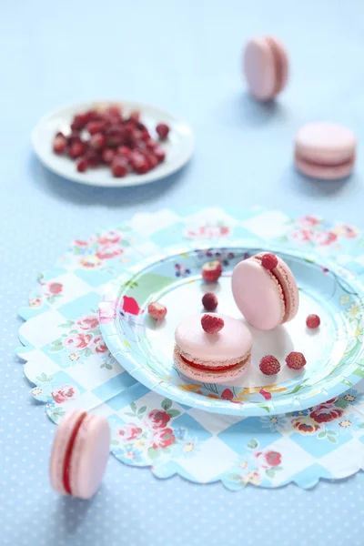 Macarons cor-de-rosa preenchidos com coalhada de bagas vermelhas — Fotografia de Stock