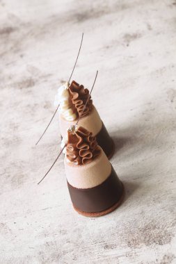 Duble çikolatalı Mini Mousse Kekleri, çikolataya batırılmış, çırpılmış beyaz çikolata kreması ve çikolata dallarıyla süslenmiş, açık arkaplanda..
