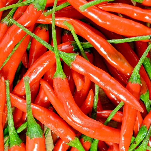 Högen av röd peppar. — Stockfoto