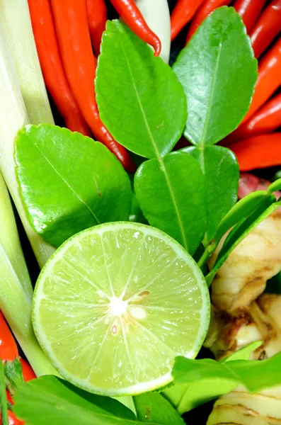 Spicy Thai Herb ingredienser. — Stockfoto