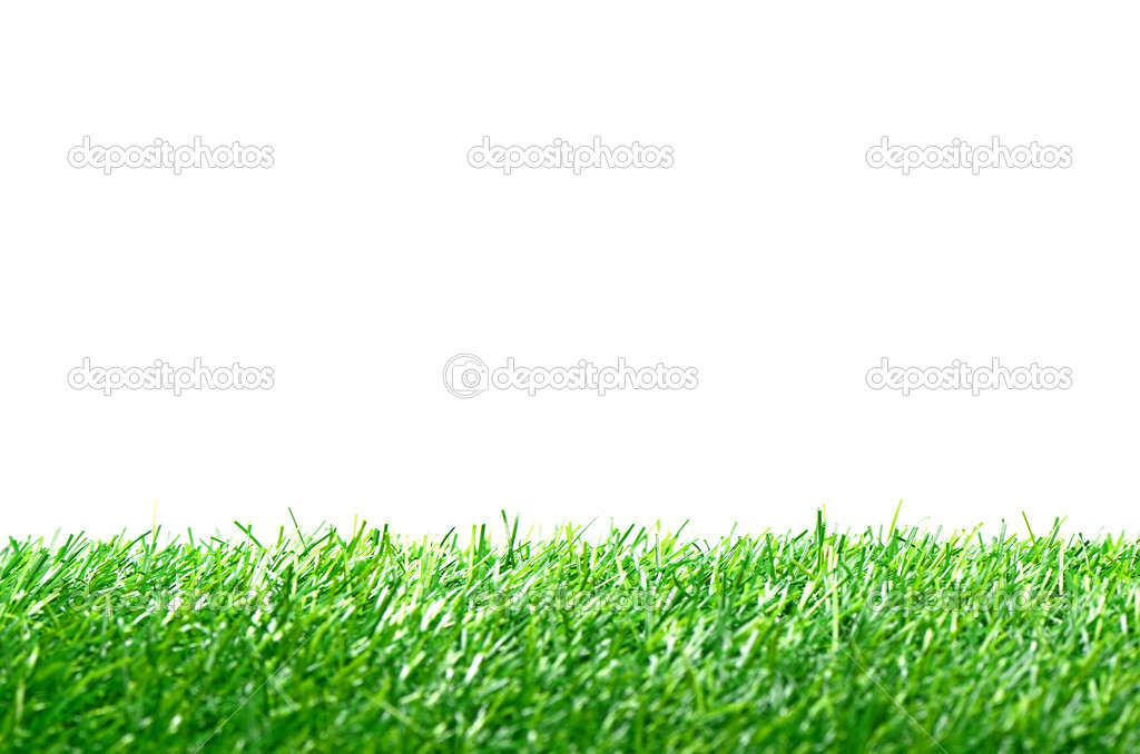 Artificial Turf for Soccer Field Isolated on White Background.