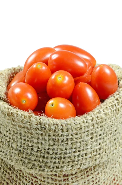 Tomatoes (Lycopersicon esculentum Mill). — Stock Photo, Image