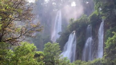 Ormanın derinliklerinde büyük bir şelale.