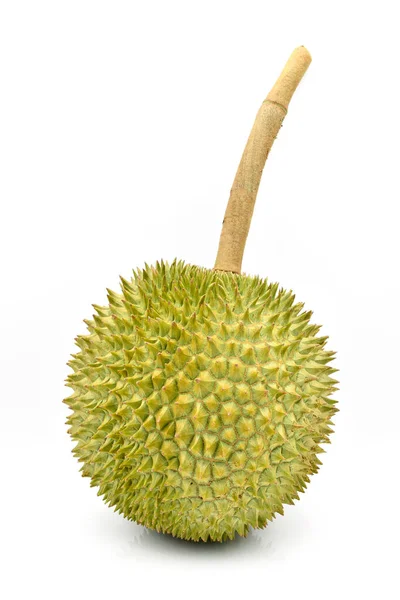 Durian King Fruits White Background — Stock Photo, Image