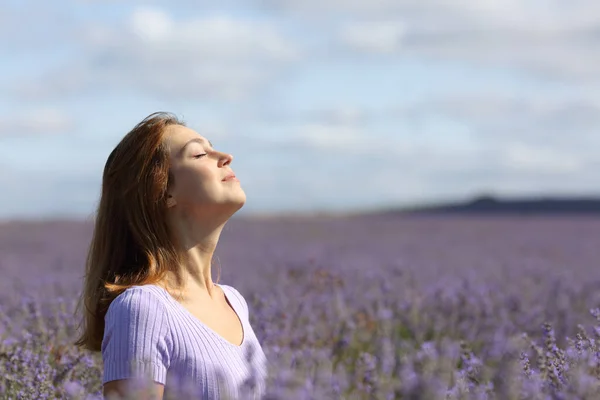 ラベンダー畑で新鮮な空気を呼吸する美人のプロフィール — ストック写真