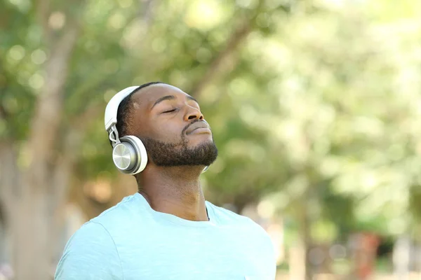 Heureux Homme Noir Écoutant Audioguide Respirant Air Frais Dans Parc — Photo