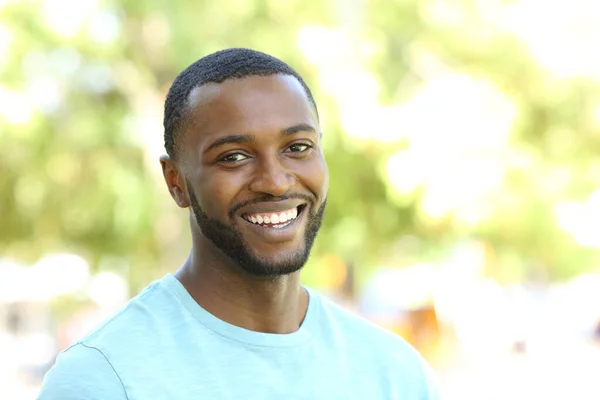Portrait of a happy black man smiling at camera in a park