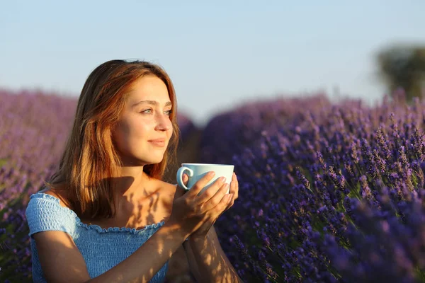 ラベンダー畑で夕日を眺めながらコーヒーを飲む幸せな女性 — ストック写真