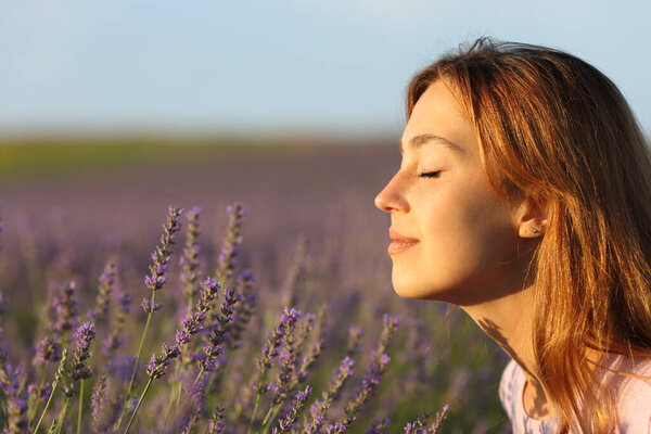 Side view portrait of a woman smelling flowers in a lavender field at sunset